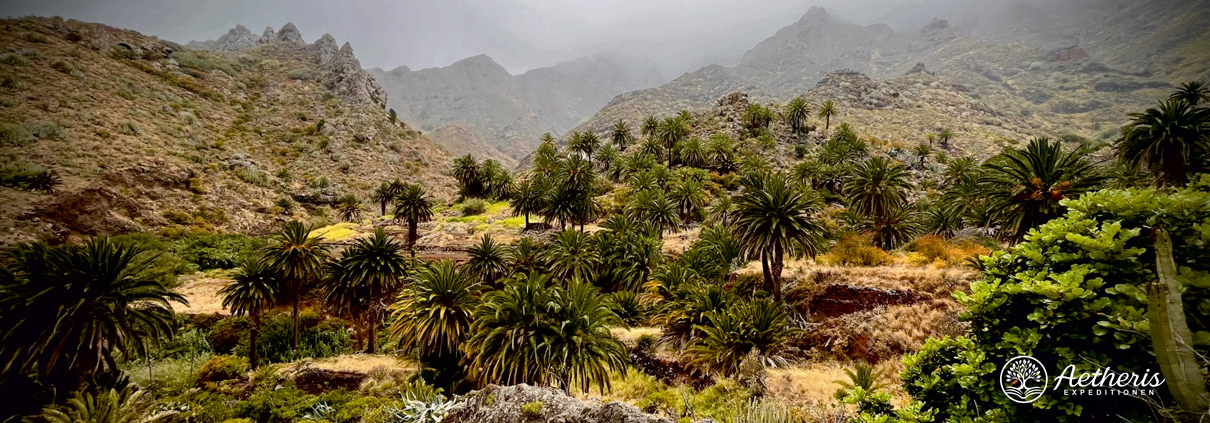 Aetheris-Expeditionen-2