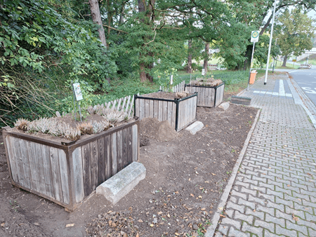 Projekt „Essbare Gemeinde“