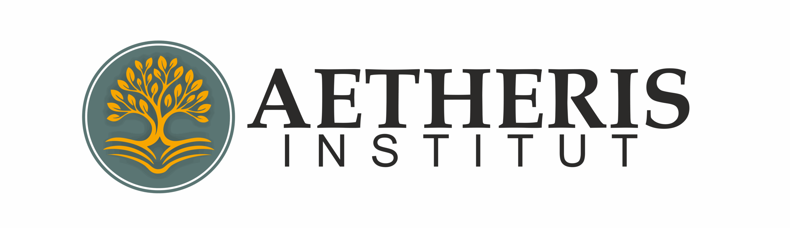 Institut Aetheris Logo Trans AETHERIS INSTITUT für Geschichte, Wissenschaft und Umwelt